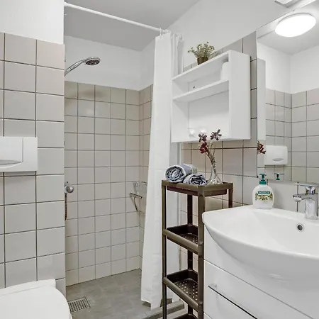 Apartment Amazing In With Kitchen Ringkobing